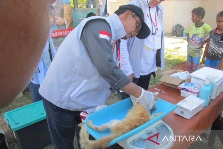 Bakti Sosial Komunitas Pencinta Kucing Perkuat Pencegahan Rabies di Pulau Beras, Aceh Besar