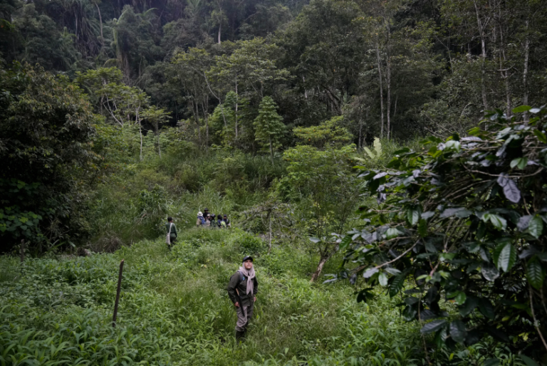 Polda Aceh Selidiki Dugaan Perambahan Hutan Ilegal di Bireuen