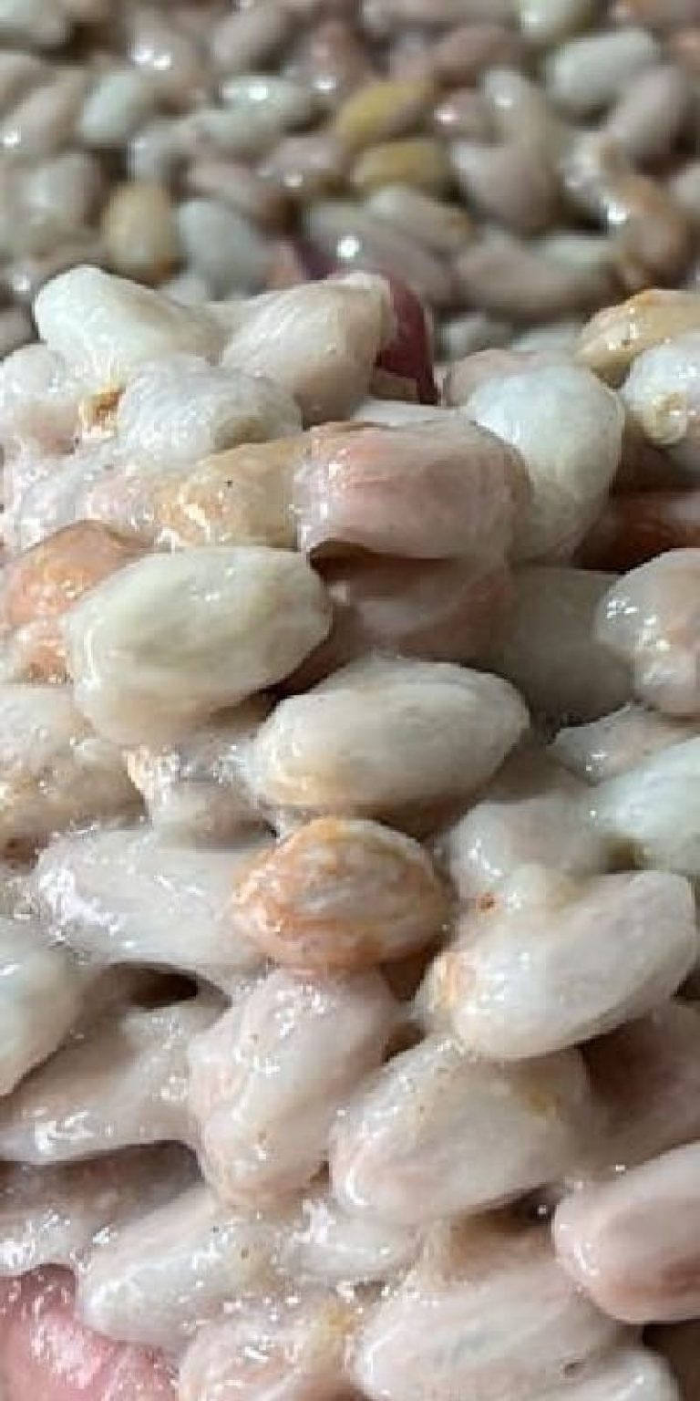Biji Kakao Aceh Tenggara Masuk 50 Besar Terbaik Cacao of Excellence 2025