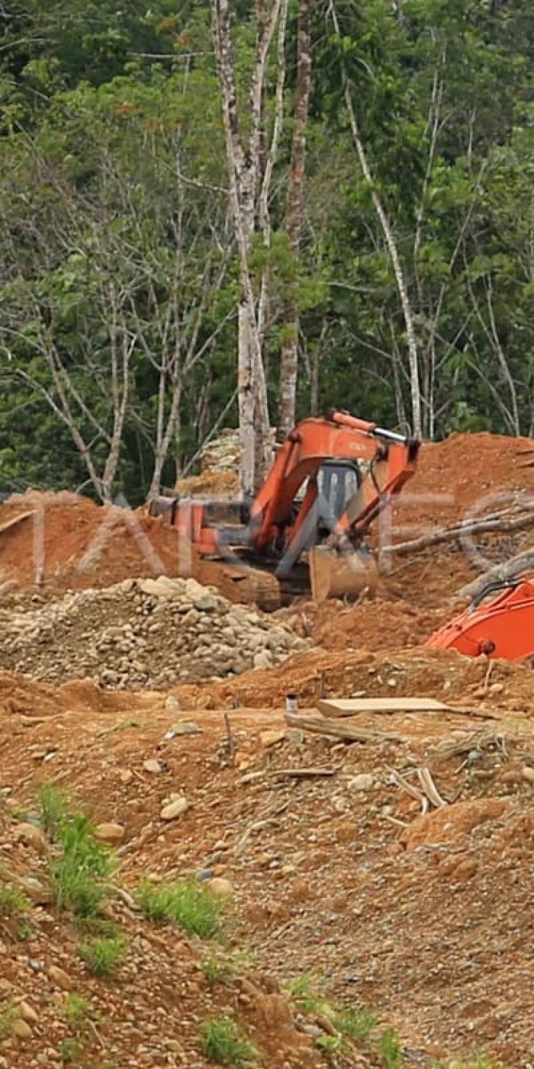 WALHI Desak Pengusutan Tuntas Dugaan Setoran Rp360 Miliar dari Tambang Emas Ilegal Aceh ke Pengadilan