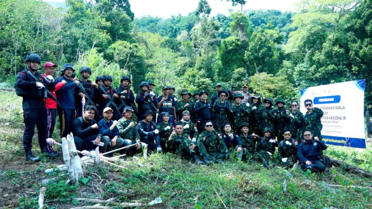 BNN Musnahkan 2 Hektare Lahan Ganja di Aceh Besar, 5.000 Batang Dimusnahkan