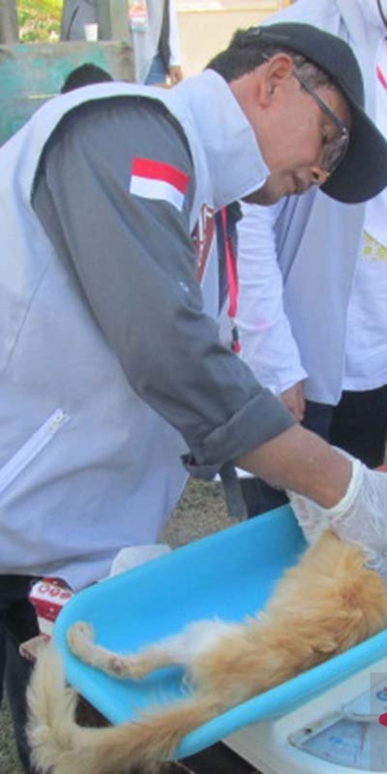 Komunitas Pencinta Kucing Gelar Bakti Sosial Cegah Rabies di Pulau Terluar Aceh Besar