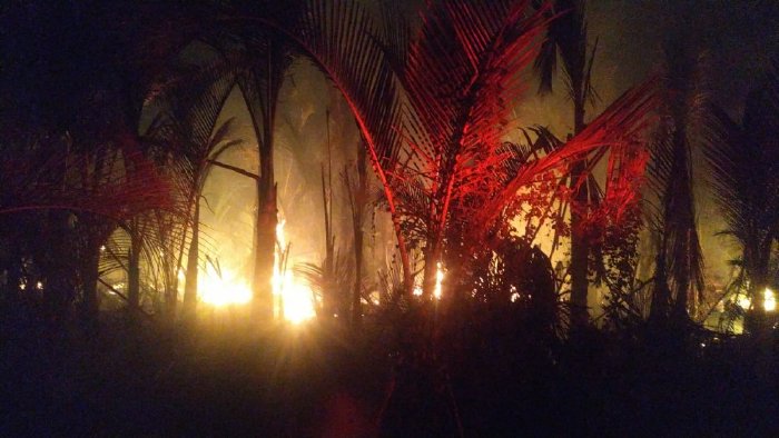 Kebakaran Lahan Rumbia Melanda Kawasan Aceh Besar