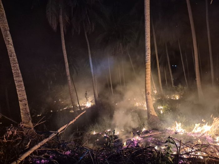Kebakaran Hutan dan Lahan Melanda Kawasan Aceh Besar