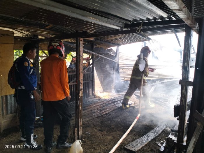 Kebakaran Hanguskan Rumah dan Usaha Ternak di Aceh Barat