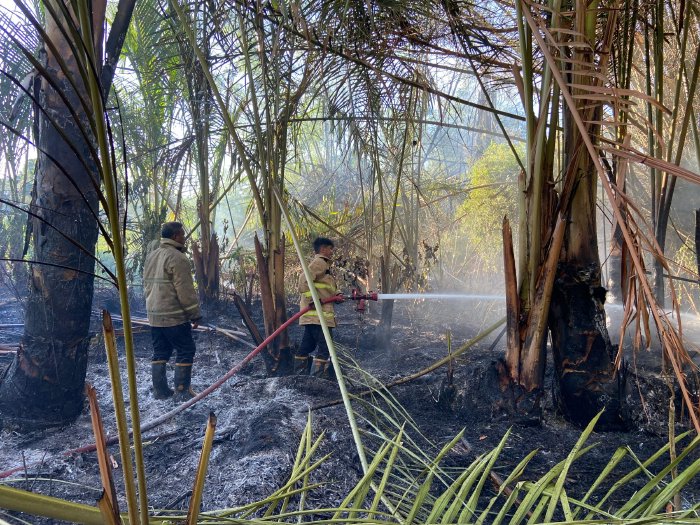 Kebakaran Lahan Terjadi Dua Hari Berturut-turut di Aceh Besar