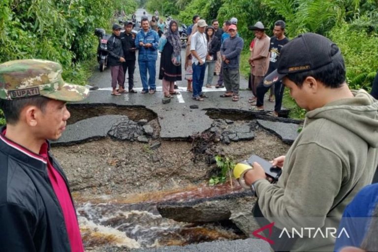 Banjir Putuskan Akses Jalan Lintas Kecamatan di Aceh Barat, Perbaikan Darurat Dilakukan dengan Pasang Pohon Kelapa