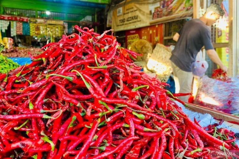 Harga Cabai Merah di Aceh Barat Naik 150 Persen, Tembus Rp90 Ribu per Kilogram