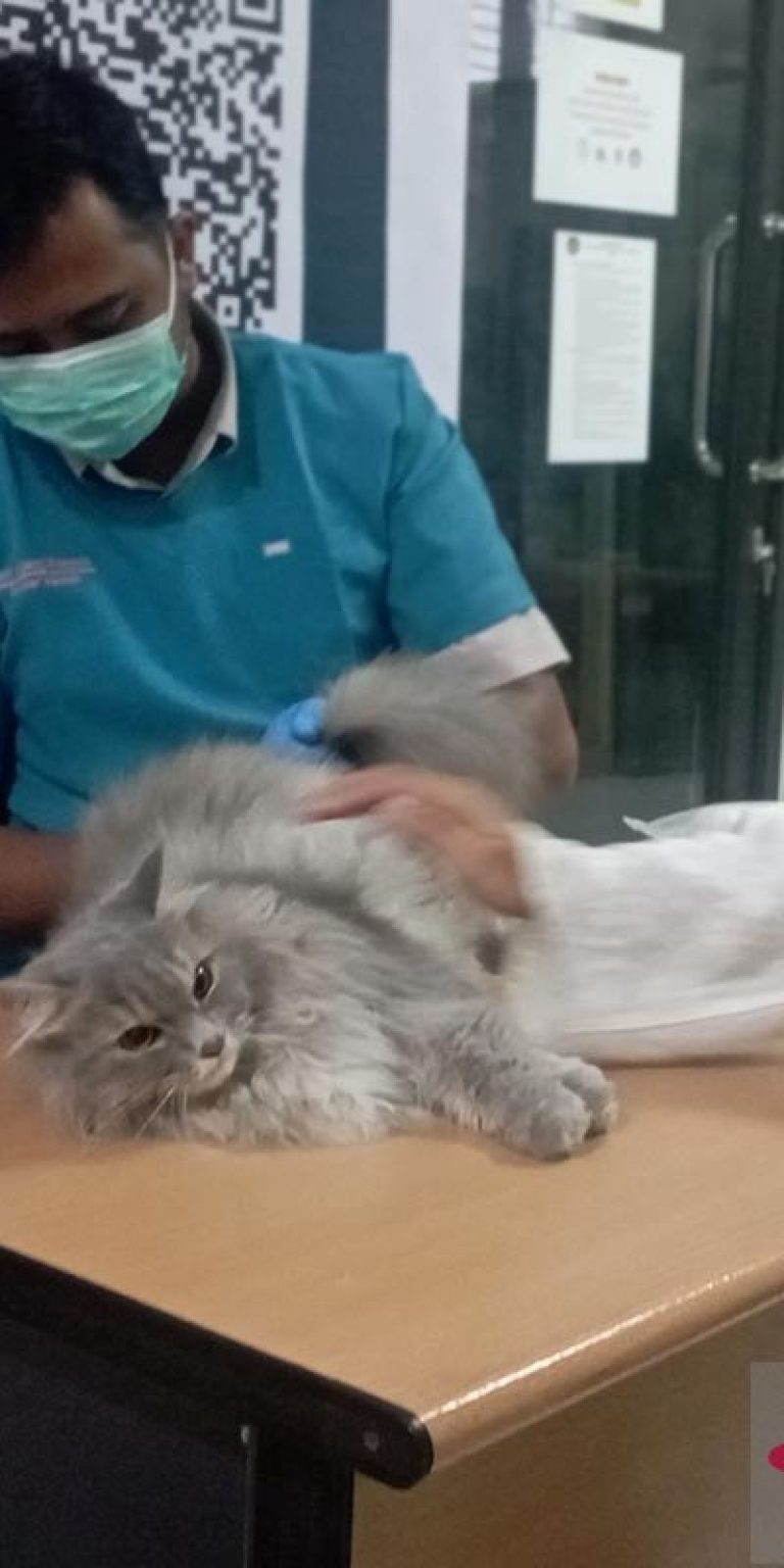 Balai Karantina Aceh Gelar Vaksinasi Rabies Gratis untuk Hewan Peliharaan