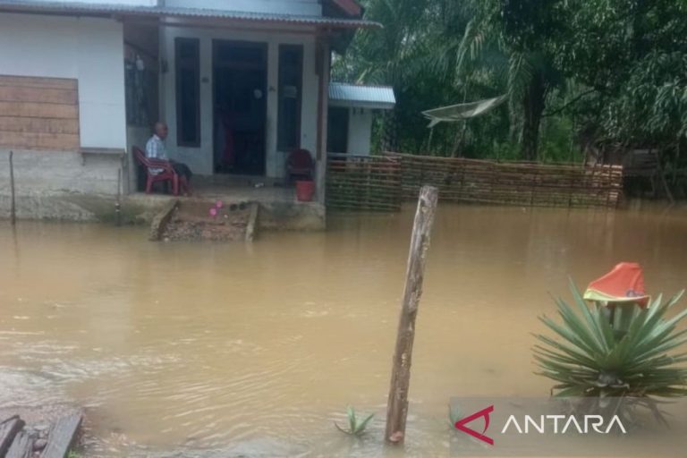 Banjir Rendam Dua Desa di Aceh Barat, Ratusan Rumah Terdampak