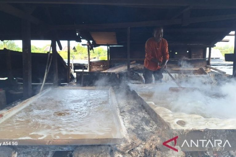 Petani Garam Aceh Pertahankan Tradisi Rebus untuk Dukung Swasembada Nasional