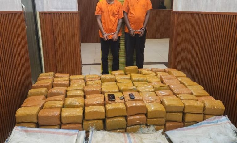 Tim Khusus Polda Sumut Gagalkan Peredaran 255 Kilogram Ganja Asal Aceh, Dua Kurir Diamankan