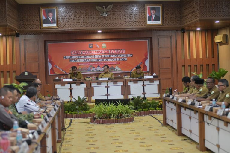 Di Hadapan Mendagri, Mualem Minta Percepatan Pemulihan Sawah dan Infrastruktur
