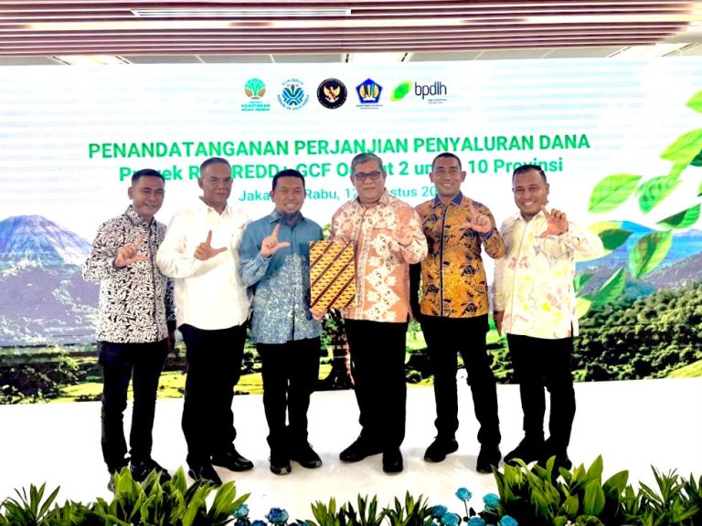 Capaian Penurunan Emisi Diakui, Gubernur Mualem Perkuat Tata Kelola Hutan Aceh