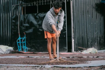 Meniti Harapan Si Emas Hitam  dari Tanoh Gayo