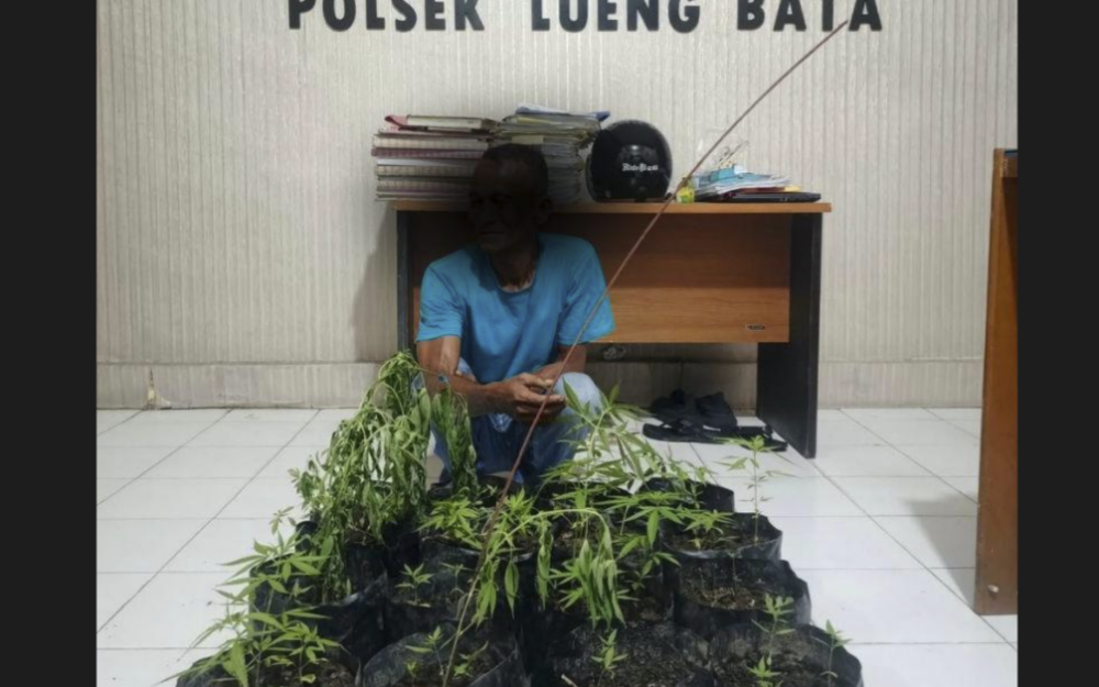 Tanam di Pekarangan Rumah di Banda Aceh, Pelaku Ditangkap Polisi Saat Menyiram