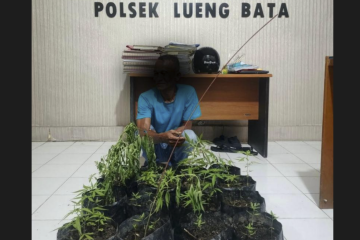 Tanam di Pekarangan Rumah di Banda Aceh, Pelaku Ditangkap Polisi Saat Menyiram